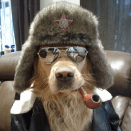 Константин